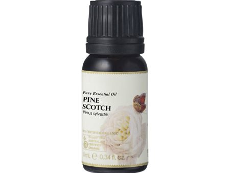 Ausganica 100% Certified Organic Essential Oil Pine Scotch 10ml Online