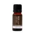 Eco Modern Essentials Aroma Essential Oil Cedarwood 10ml Supply