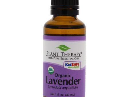 Plant Therapy Organic Essential - Lavender by Plant Therapy for Unisex - 1 oz Oil Fashion