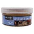 Cuccio Sea Salt Scrub - Vanilla Bean and Sugar by Cuccio for Women - 19.5 oz Scrub Supply