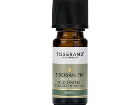 Tisserand Essential Oil Siberian Fir 9ml Online Hot Sale