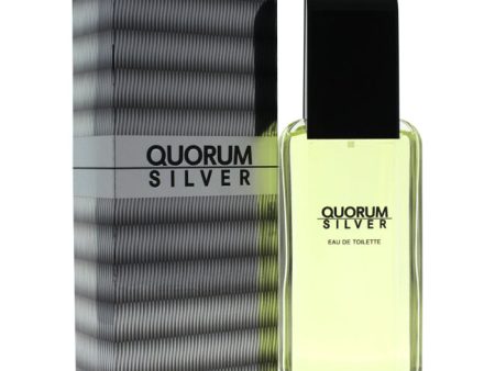 Antonio Puig Quorum Silver by Antonio Puig for Men - 3.4 oz EDT Spray For Cheap