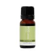 Eco Modern Essentials Aroma Essential Oil Vetiver 10ml Supply