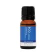 Eco Modern Essentials Aroma Essential Oil Rosemary 10ml For Discount