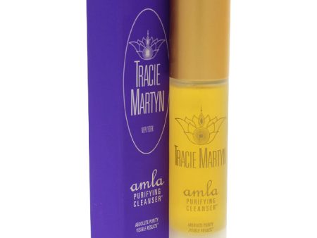 Tracie Martyn Amla Purifying Cleanser by Tracie Martyn for Unisex - 1.69 oz Cleanser Online Sale