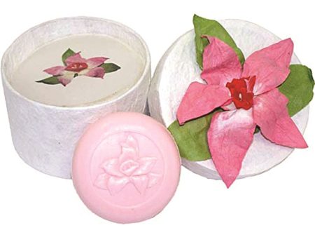 Clover Fields Gift Box Hibiscus Pamper Pack (contains: bath salts & soap) For Cheap